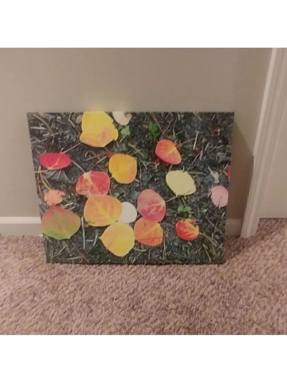 NWOT Aspen Autumn Leaves canvas 16x20
